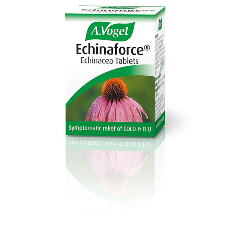 Echinaforce Echinacea Tablets 42 Tabs