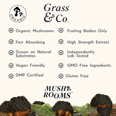 Grass & Co. BIOME Chaga Mushrooms with Curcumin + Ginger 60 Vegan Capsules