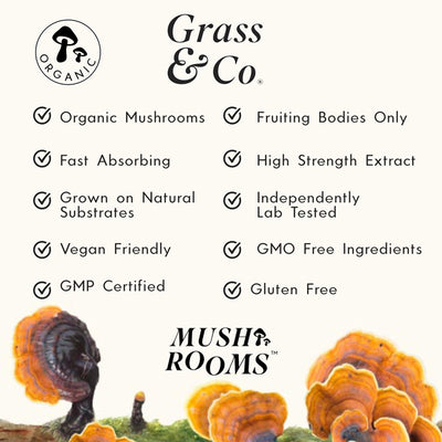 Grass & Co. DREAM Reishi Mushrooms with Magnesium + Sage 60 Vegan Capsules